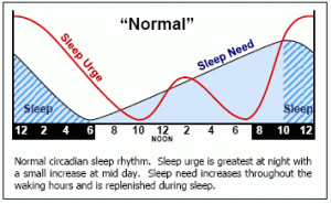circadian rhythm of an individual