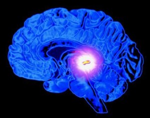Melatonin As Dietary Supplement To Harmonize Natural Sleep Cycle 