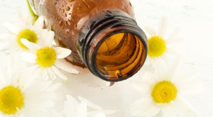 Chamomile Essential Oil for Insomnia Chamomile for Sleep Disorders.jpg