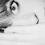 Bigelow Sweet Dreams Herbal Tea And Sleep Disorders