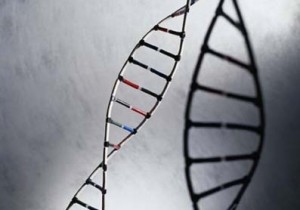 Is Narcolepsy Hereditary Sleep Disorders.jpg
