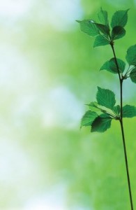 circadian Clock and body environmental events