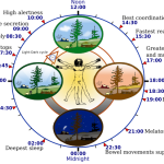Circadian Rhythm Sleep Disorder Symptoms