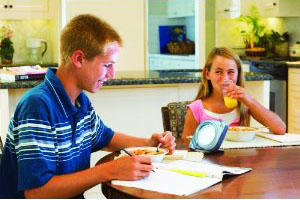 Litebook Elite Hand-Held Light Therapy Device image 2