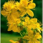 What Are The Natural Remedies For Narcolepsy?