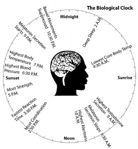 Circadian Rhythm Sleep Disorder Can Be Temporary Or ... chinese meridians diagram 