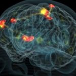 Sleep And Wake Up Process Is Controlled Through Circadian And Homeostatic Processes 