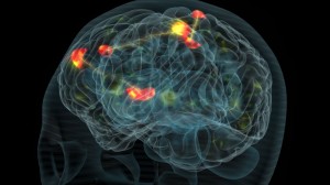 Sleep And Wake Up Process Is Controlled Through Circadian And ...