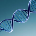 The Genetic Basis of Advanced Sleep Phase Syndrome