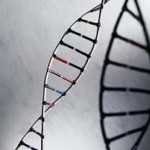 Is Narcolepsy Hereditary?