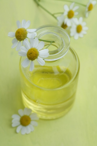 Chamomile Essential Oil