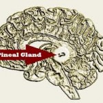 Pineal Gland Disorders