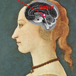 Pineal Gland Structure And Function