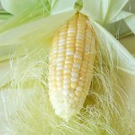 Corn Silk for Bedwetting